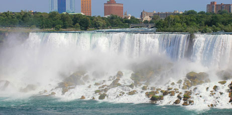 alexsvirid/Shutterstock.com
