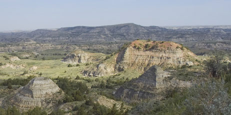 Pierdelune/Shutterstock.com