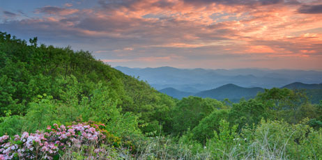 kurdistan/Shutterstock.com