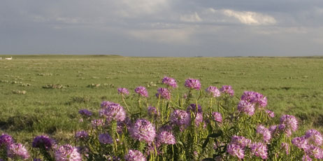 marekuliasz/Shutterstock.com