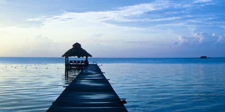 Nickolay Stanev/Shutterstock.com