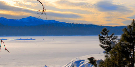 Gregory Dayton/Shutterstock.com