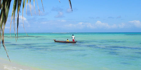 karinaL/Shutterstock.com