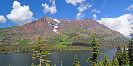 Wildnerpix/Shutterstock.com