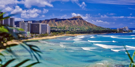 tomas del amo/Shutterstock.com
