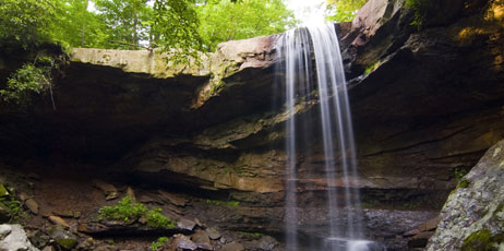 Caleb Foster/Shutterstock.com