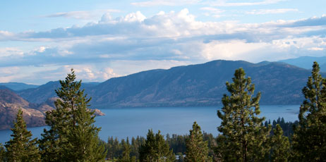 Ivan_Sabo/Shutterstock.com