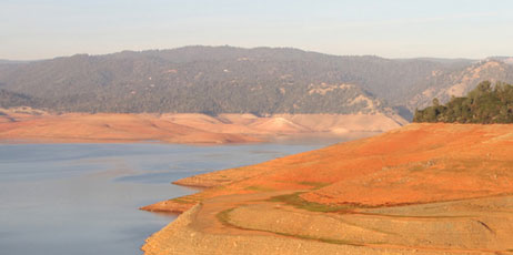 David Brimm/Shutterstock.com
