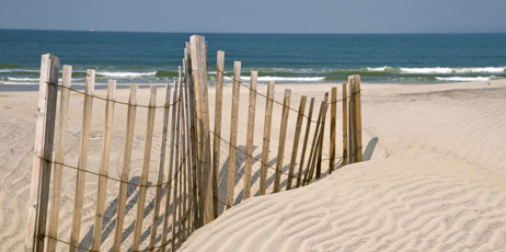 FloridaStock/Shutterstock.com