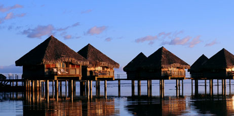 wilar/Shutterstock.com