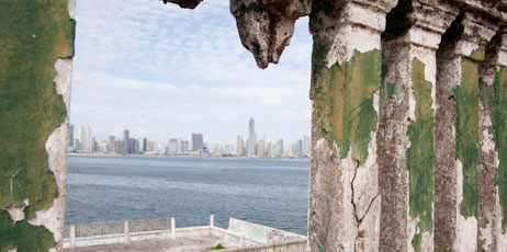 Dave Rock/Shutterstock.com