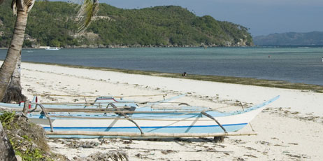 Niar/Shutterstock.com