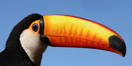 saragosa69/Shutterstock.com