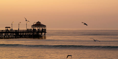 Oscar L. Miranda/Shutterstock.com