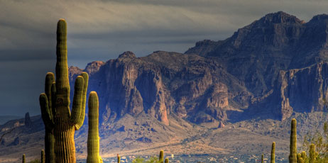Matthew Strauss/Shutterstock.com