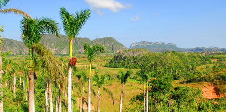 Regien Paassen/Shutterstock.com