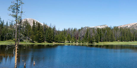 Jeff Banke/Shutterstock.com