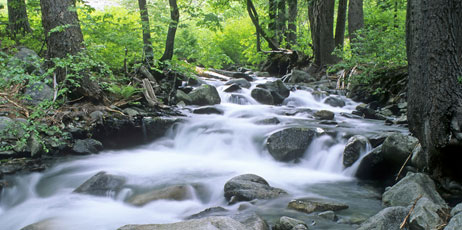 J. S. Fisher/Shutterstock.com