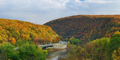 Songquan Deng/Shutterstock.com