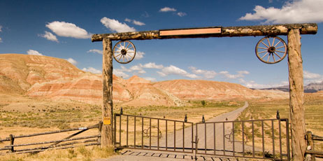 Evgeny Dubinchuk/Shutterstock.com