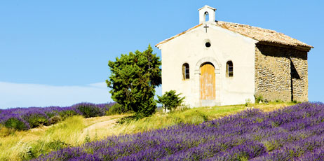 PHB.cz (Richard Semik)/Shutterstock.com