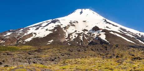 Tifonimages/Shutterstock.com