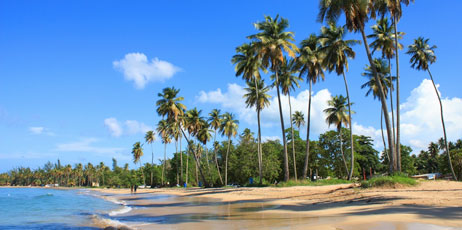 Kate Connes/Shutterstock.com