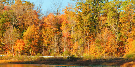 Kenneth Sponsler/Shutterstock.com