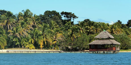 vilainecrevette/Shutterstock.com