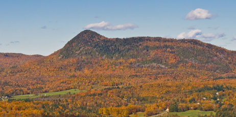 Fremme/Shutterstock.com