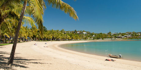 Janelle Lugge/Shutterstock.com
