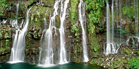 Leksele/Shutterstock.com