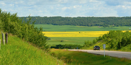 Gilles DeCruyenaere/Shutterstock.com