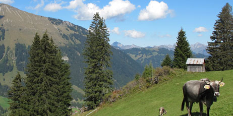 Ursula Perreten/Shutterstock.com