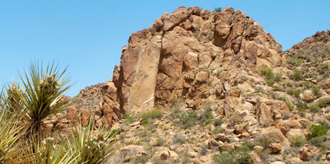 Caitlin Mirra/Shutterstock.com