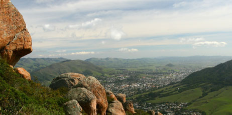 Sean Andersohn/Shutterstock.com