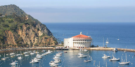 Ocean Image Photography/Shutterstock.com