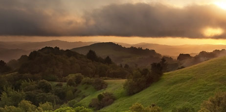 Matt Tilghman/Shutterstock.com