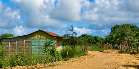 Kosarev Alexander/Shutterstock.com