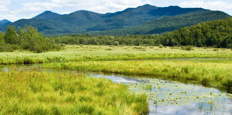 cjorgens/Shutterstock.com