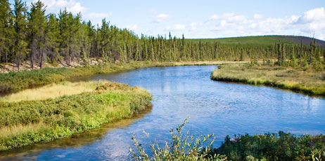 Scott Prokop/Shutterstock.com