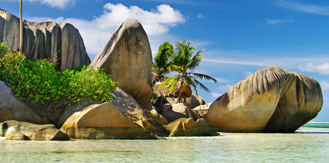 Maugli/Shutterstock.com