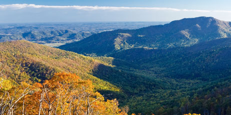 S.Borisov/Shutterstock.com