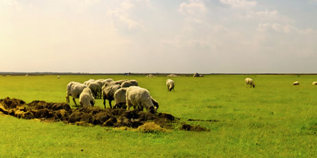 Zeljko Radojko/Shutterstock.com