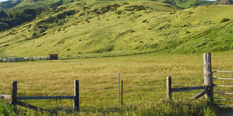 Richard F Jones/Shutterstock.com