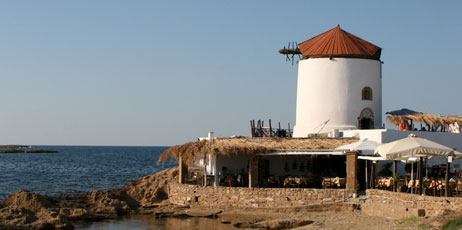 Fenia/Shutterstock.com