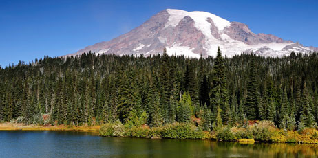 neelsky/Shutterstock.com