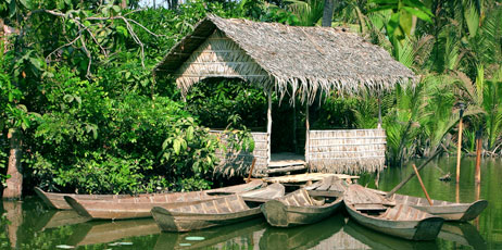ahnhuynh/Shutterstock.com