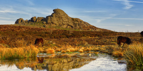Andy Fox Photography (UK)/Shutterstock.com