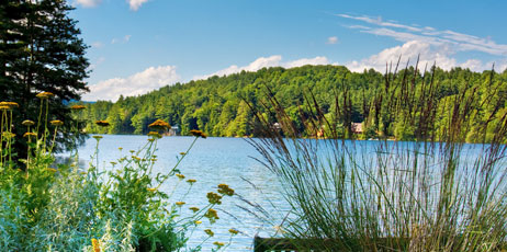 Stephen Bonk/Shutterstock.com